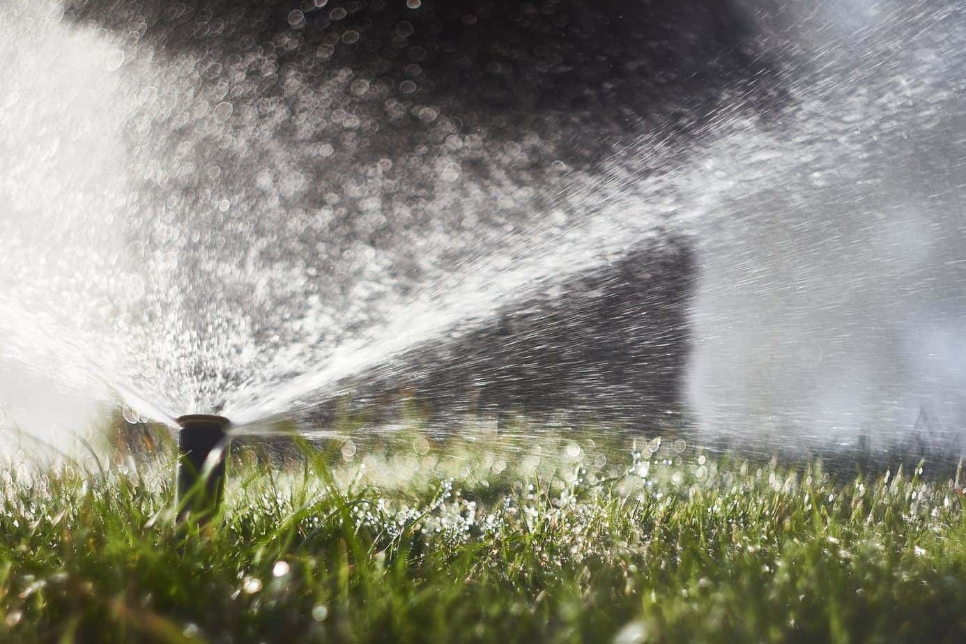 Top-Rated Expert Drainage Services in Springtown , TX for Residential Properties