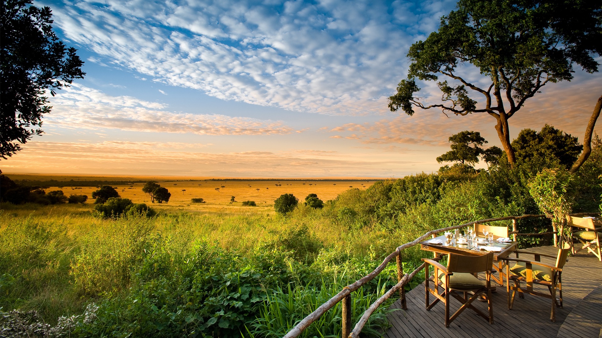 Kenya Safari Tours | Discover the Magic of Africa’s Most Iconic Safaris